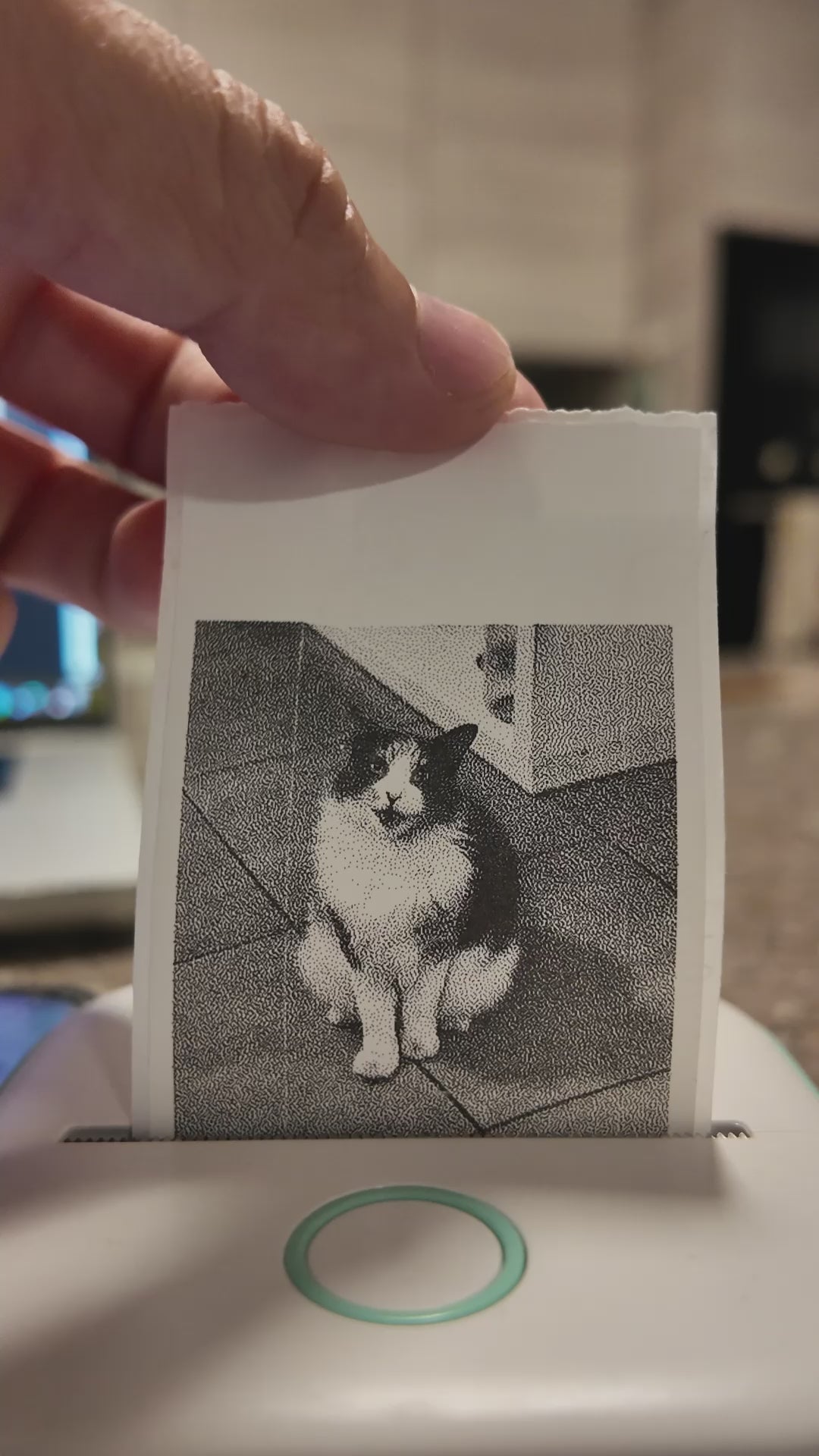 🖨️ Mini Imprimante Phomemo – Imprimez vos idées, partout